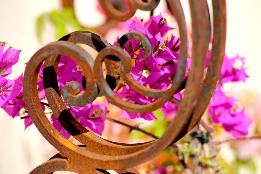 Mas De Mariette Bed & Breakfast Noves Bagian luar foto