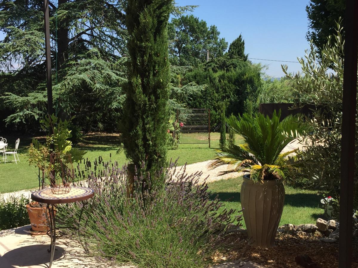 Mas De Mariette Bed & Breakfast Noves Bagian luar foto